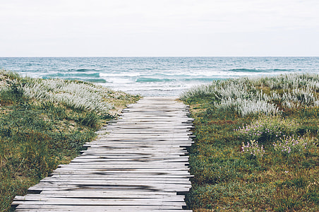 body of water beside green grass photography thumbnail