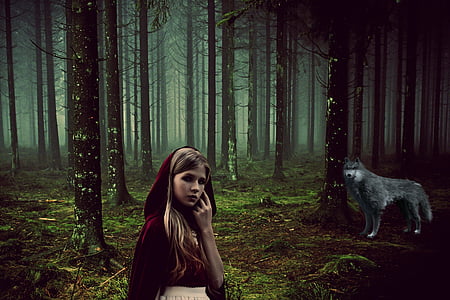 Little Red Riding Hood and gray wolf poster thumbnail
