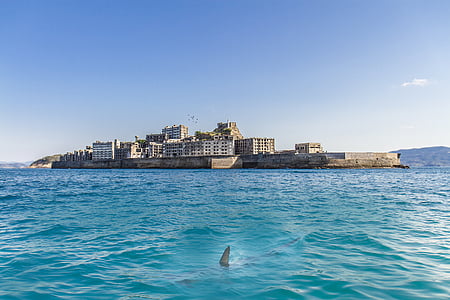 shark swimming near city thumbnail