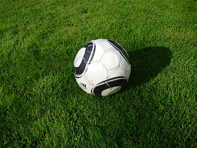 black and white soccer ball on green grasses thumbnail