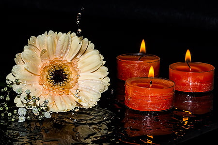white daisy flower near lighted tealight candles thumbnail