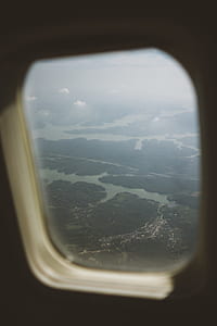 forest and body of water thumbnail
