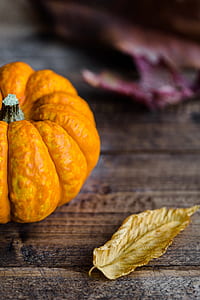 orange pumpkin on wooden surface thumbnail