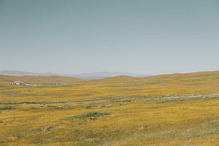 landscape photography of brown grassland thumbnail