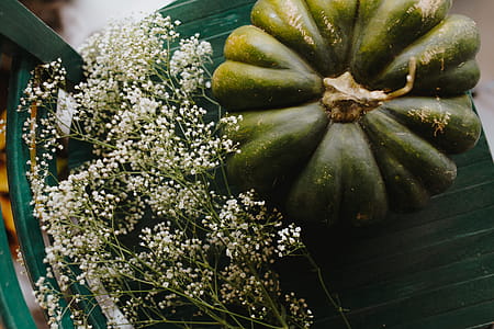 Top view of green pumpkin thumbnail