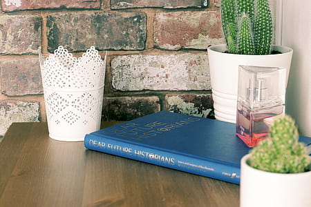 Blue Book on Brown Wooden Table with flower vases thumbnail