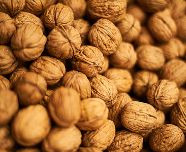 selective focus photograph brown nuts thumbnail
