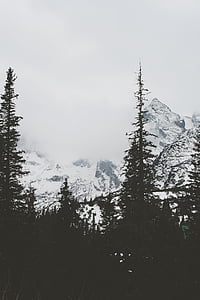 snow cover mountain near green trees thumbnail