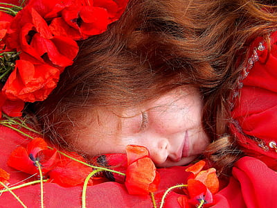 girl lying on bed of common poppy flower thumbnail