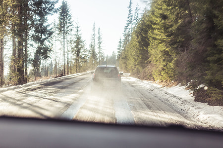 Following a Car on Forest Road thumbnail