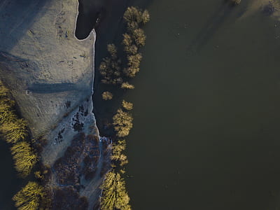 top view of trees and body of water thumbnail