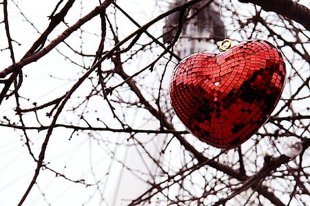 red heart decor hanging on tree branch thumbnail