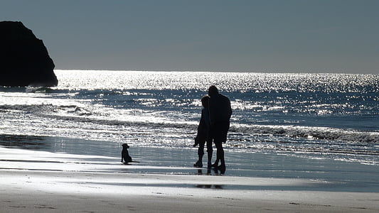 silhouette of people and seashore thumbnail