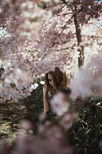 selective focus photo of brunette woman standing under pink flowers on bloom during daytime thumbnail