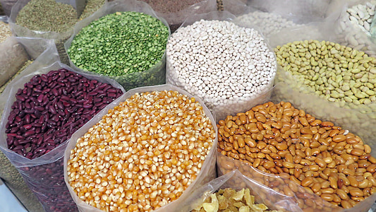 variety of seeds thumbnail