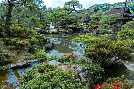 body of water surrounded by flowers and plants near house thumbnail