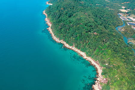 Aerial Photography of Trees Near Body of Water thumbnail