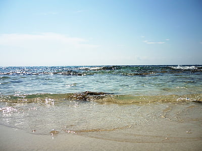 clear beach during daytime thumbnail
