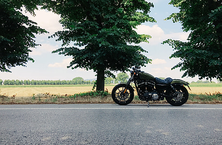 Custom Motorcycle On The Road thumbnail