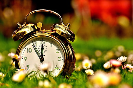 brown double bell alarm clock on green field thumbnail