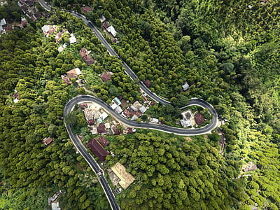 areal view of gray concrete road surrounding trees thumbnail