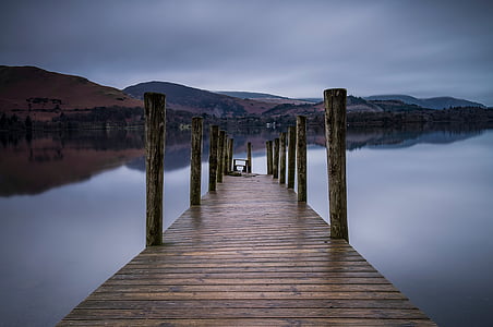 brown dock thumbnail