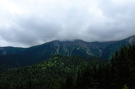 mountain near forest under clouds thumbnail