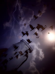 silhouette photography of flock of birds painting thumbnail