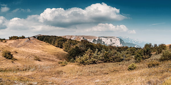 green leafed trees near hill under white and blue skies thumbnail