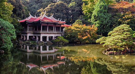 pagoda temple surrounded by body of water and trees thumbnail