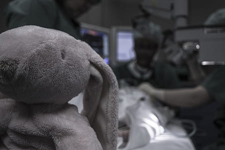 pink rabbit plush toy in emergency room thumbnail