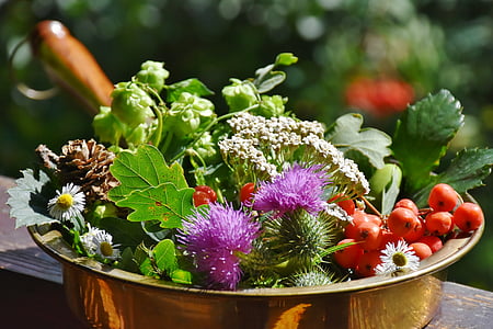 shallow focus photo of plant arrangement thumbnail