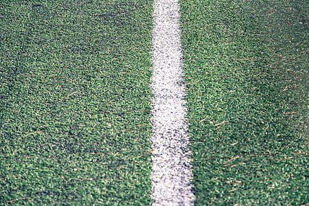 green grass field thumbnail