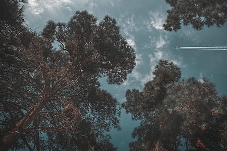 Gray Plane on Sky thumbnail
