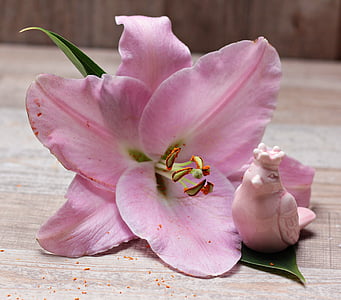 pink flower beside white ceramic bird figurine thumbnail