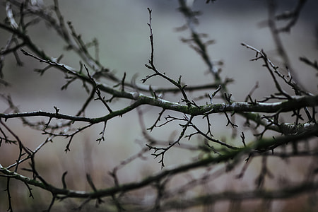 A walk in an autumn forest thumbnail