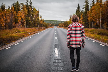walking man on empty road beside pine trees at daytime thumbnail