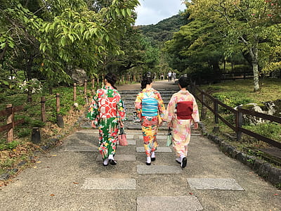 three women wearing traditional Japanese dress walking between trees thumbnail