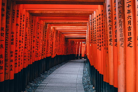 orange and black posts with pathway thumbnail