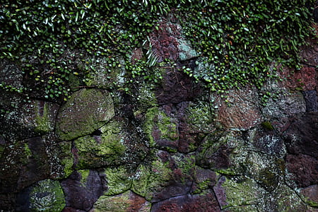 rock, pattern, texture, stone thumbnail