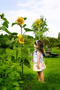 girl standing near sunflower plant during daytime thumbnail
