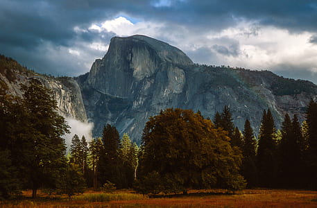 trees near gray rocky mounted under gray clouds thumbnail