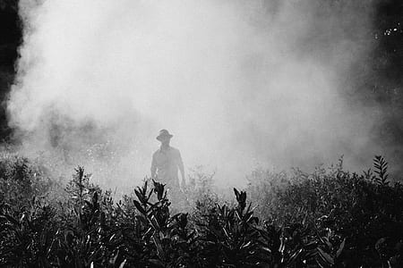 man wearing hat on bush surrounded by smoke thumbnail