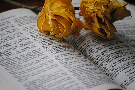 two flowers on book page thumbnail