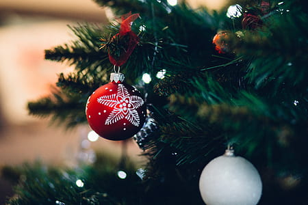 focus photography of red Christmas bauble hanging on Christmas tree thumbnail