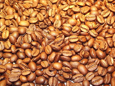 brown coffee bean lot thumbnail