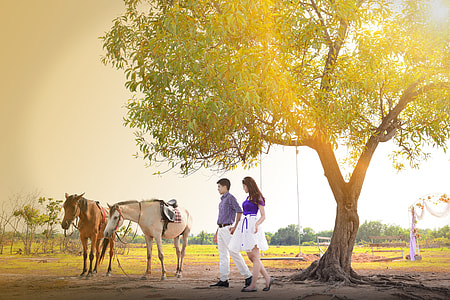 Wedding Photo, Beautiful Wedding Photo thumbnail