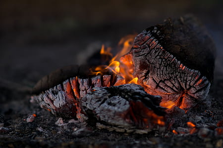 selective focus photography charcoal with flames thumbnail