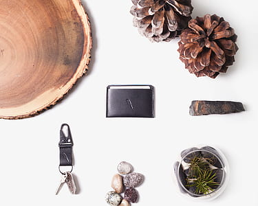 brown wood stump thumbnail