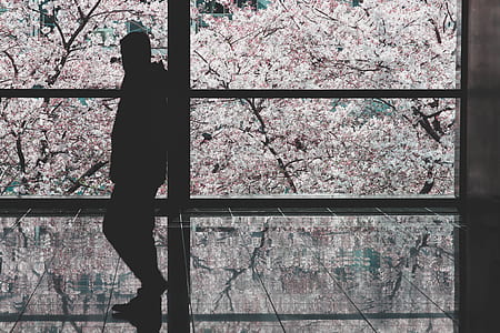 person near glass window thumbnail